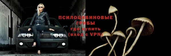 прущие крисы Болохово