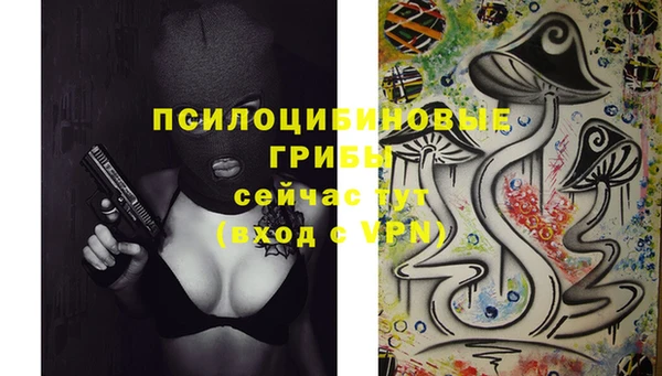 марихуана Абаза